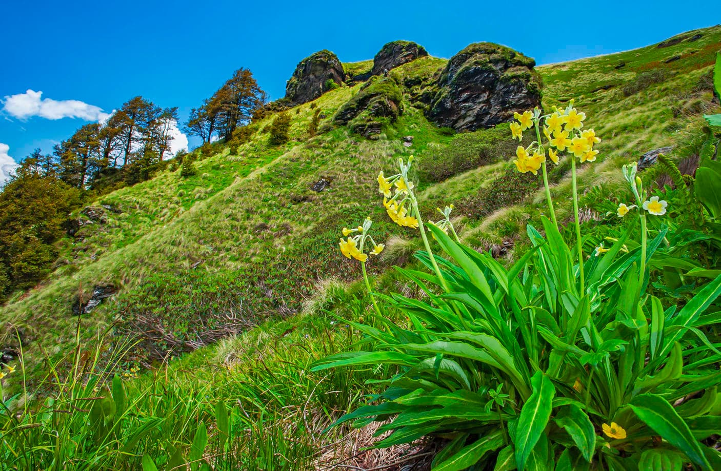 Gulmit’s Mountains, A Living Storehouse of Nature’s Wealth